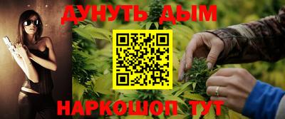 прущие крисы Кингисепп