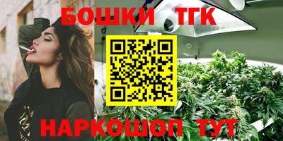 прущие крисы Кингисепп